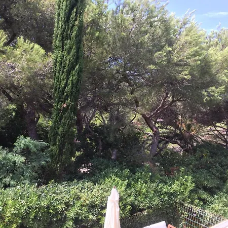 Marina Cap Negre: Beachfront With Sea View Terrace Six-Fours-les-Plages