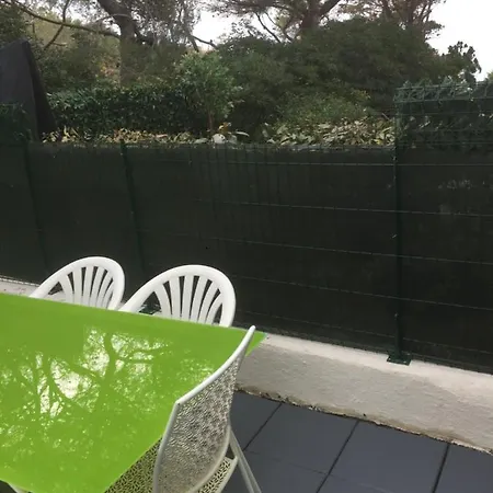 Appartement T2 Terrasse 20m2 Climatisé à 1mn Chrono à Pied De La , Et Sentier Du Littoral Terrasse 20 M2 Vue